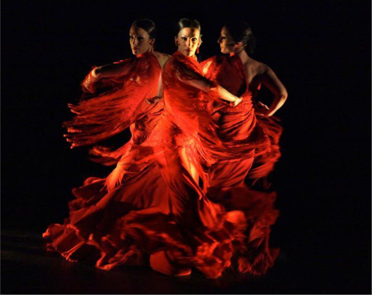 flamenco