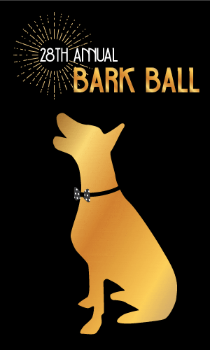 BarkBall2015_WEB_dogText300x500